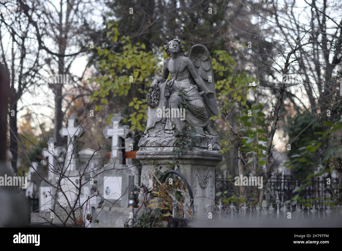 statua di angelo di pietra nel cimitero Foto Stock