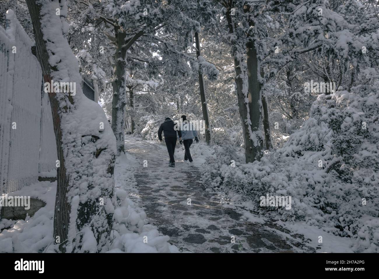 Passeggiate nella Snowy Forest. Due persone che camminano nella foresta coperta di neve in inverno Foto Stock