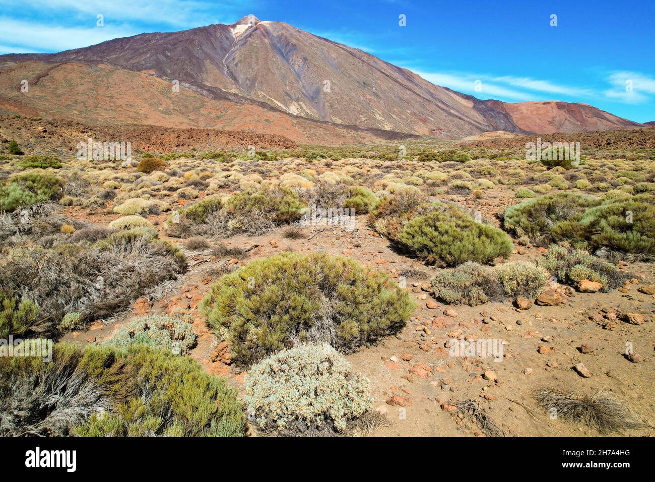 Vista sul Monte Teide nel Parco Nazionale del Teide, Tenerife, Isole Canarie, Spagna. Foto Stock
