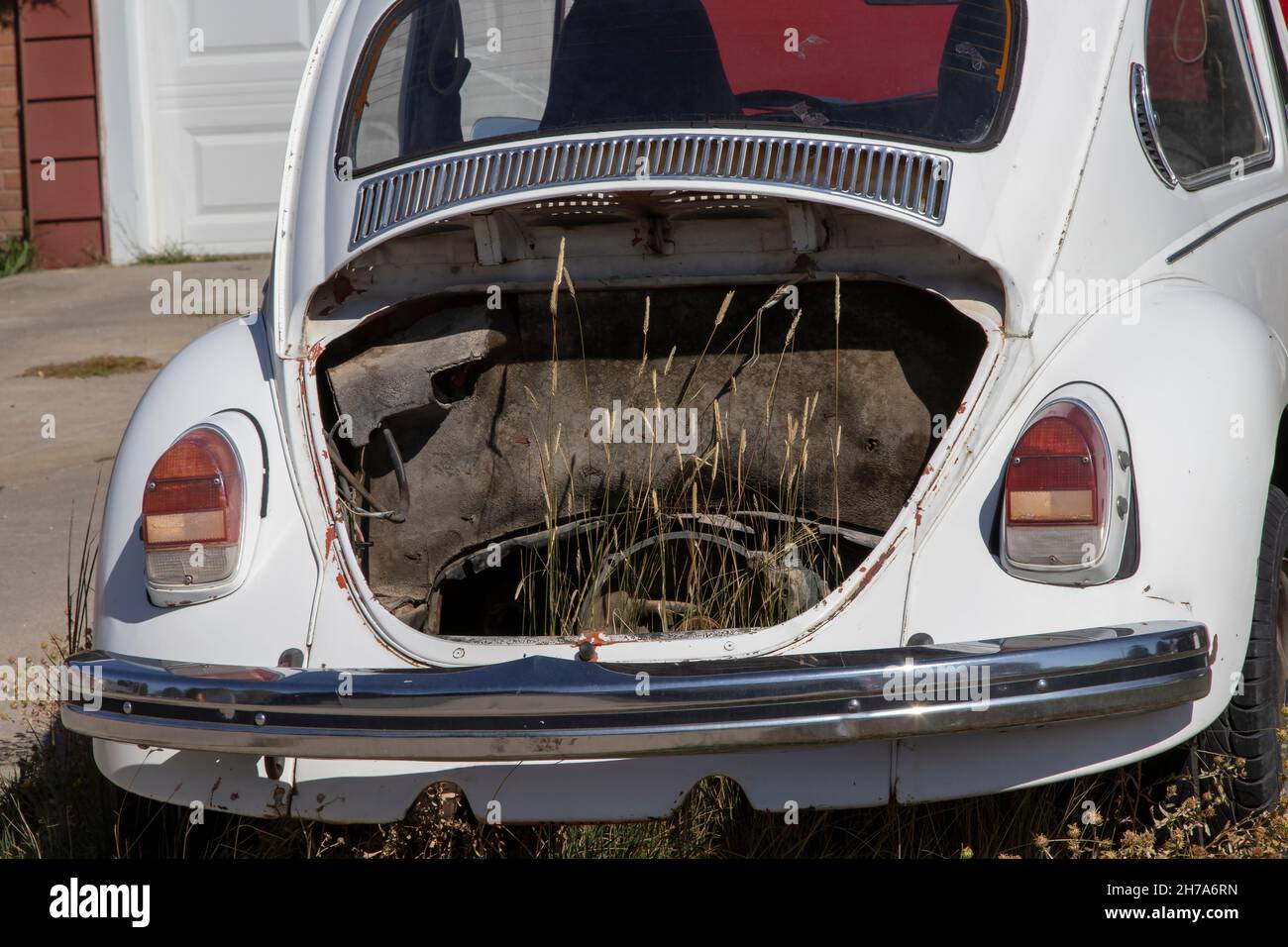 Erbacce che crescono nel vano motore di un vecchio VW Foto Stock