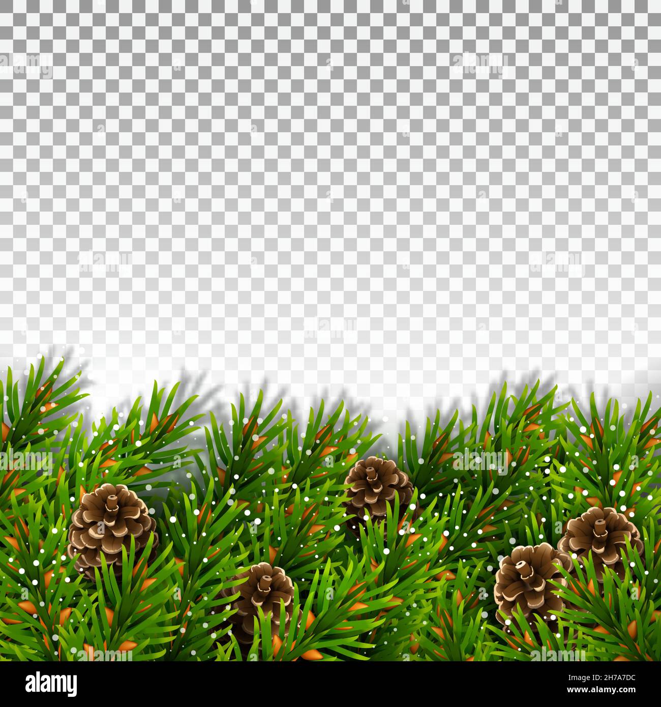 Bordo inferiore di rami di abete rosso sempreverdi, coni di pino e fiocchi di neve. Per decorazioni natalizie e disegni di biglietti d'auguri. Isolato su un trasparente Illustrazione Vettoriale