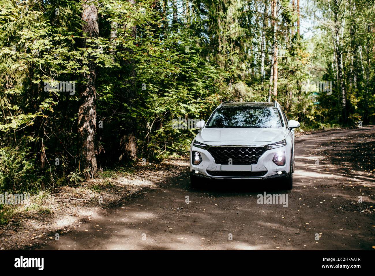 Velocità. Auto che guida su strada forestale. suv bianco Foto Stock