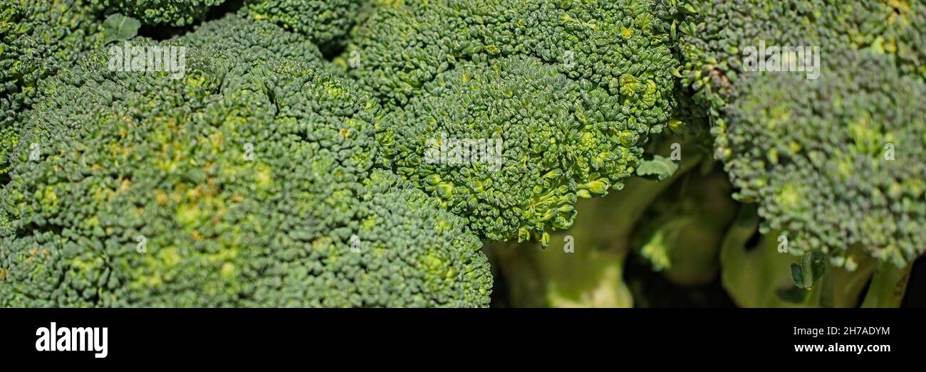 Vista panoramica delle teste tagliate Broccoli in un mercato Foto Stock