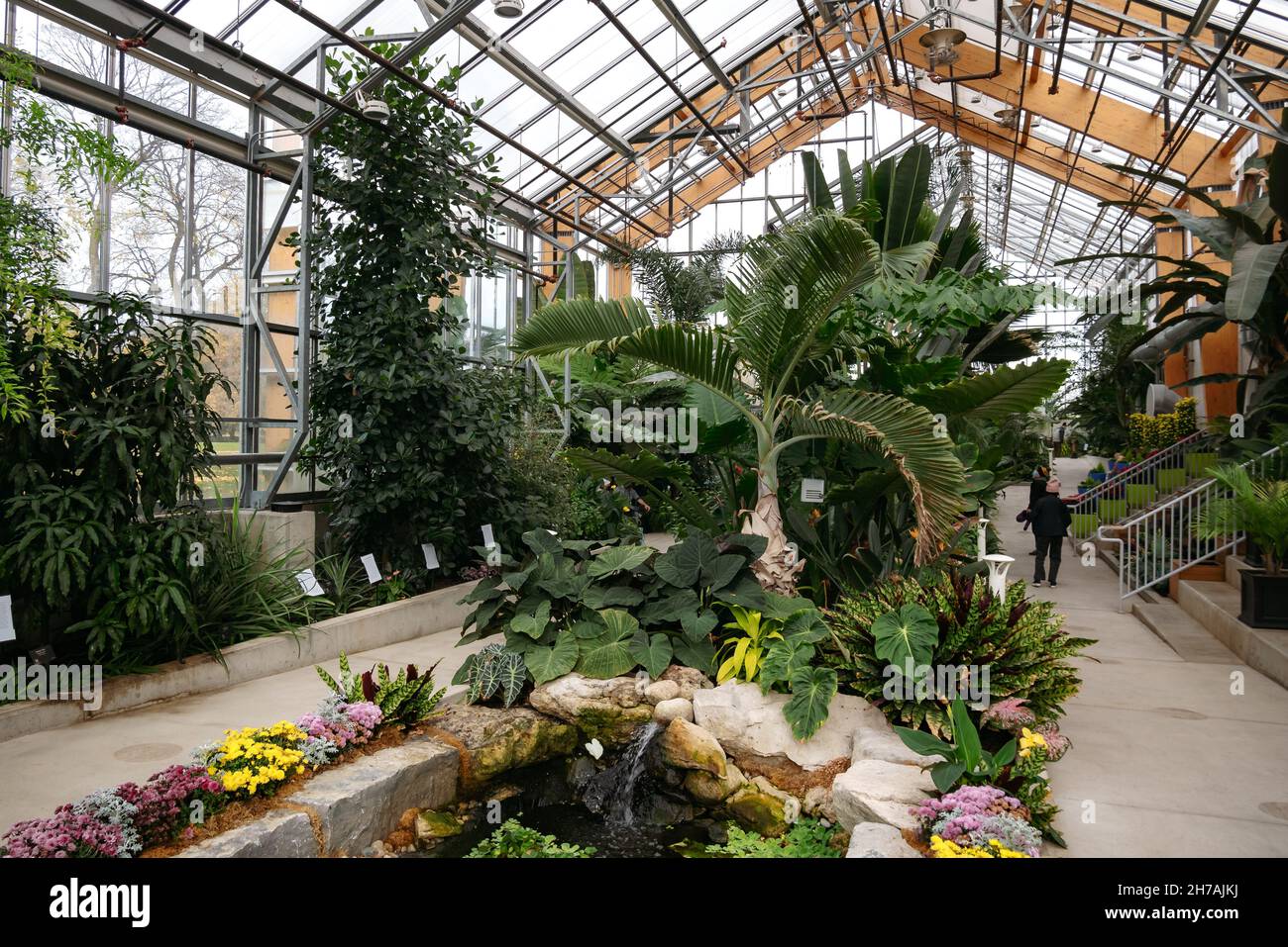 Gage Park serra tropicale a Hamilton, Ontario, Canada Foto Stock