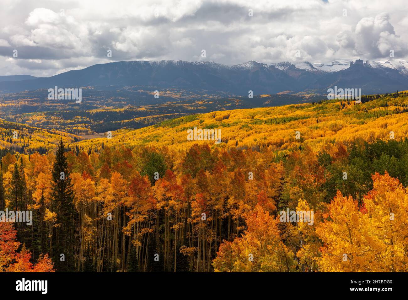 Colori autunnali lungo l'Ohio Creek Pass, Gunnison County, Colorado Foto Stock