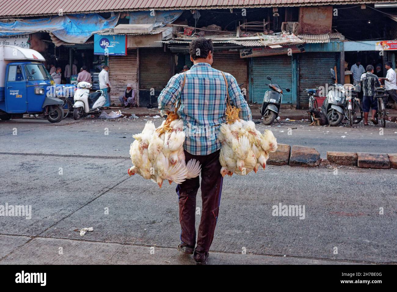 Un uomo porta due mazzi di polli vivi legati da un mercato a Mumbai, India, per la rivendita presso un macellaio Foto Stock
