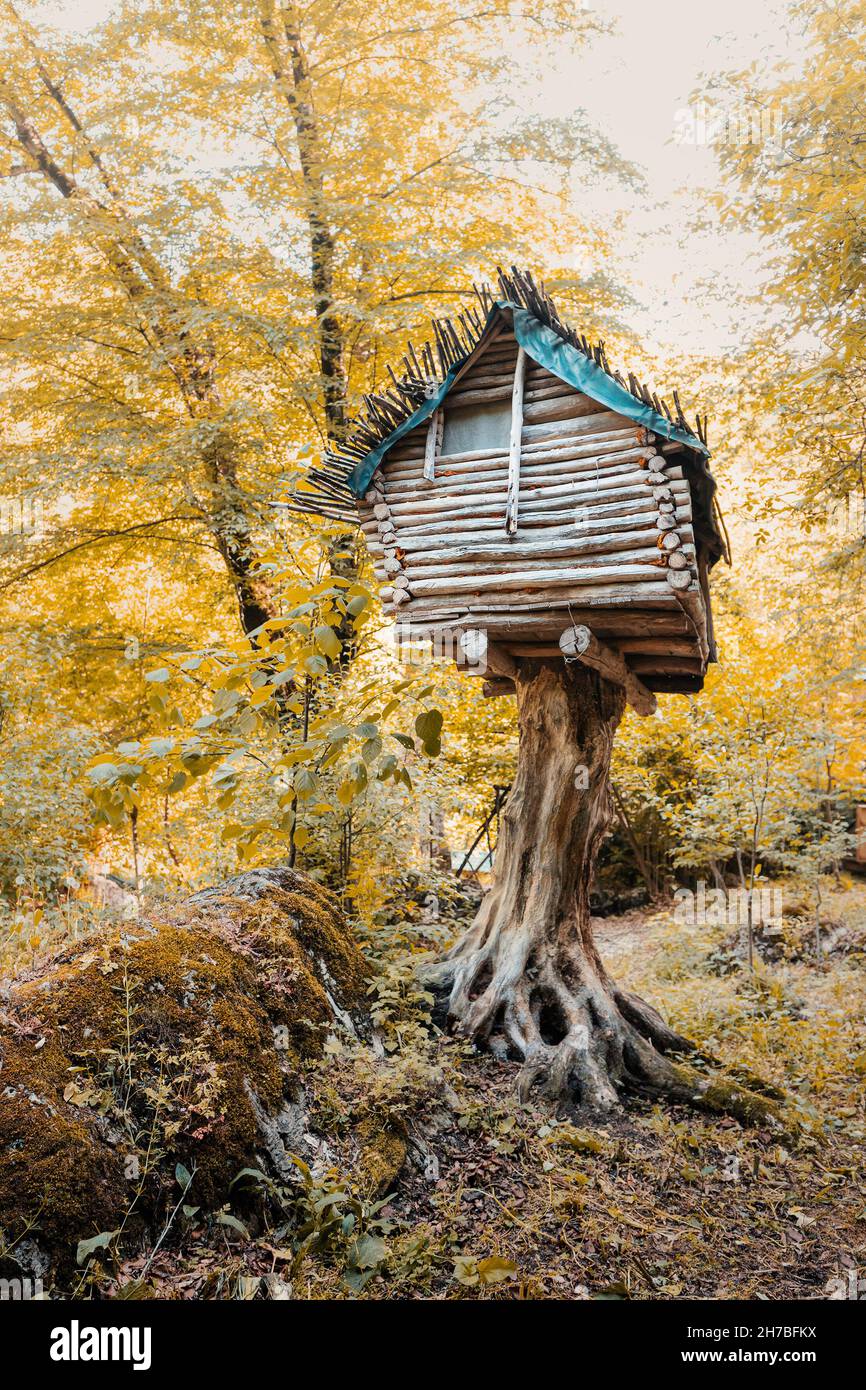 Mistica e fiabesca casa di alberi, che ricorda la spaventosa dimora di Baba Yaga sulle gambe di pollo nella foresta Foto Stock