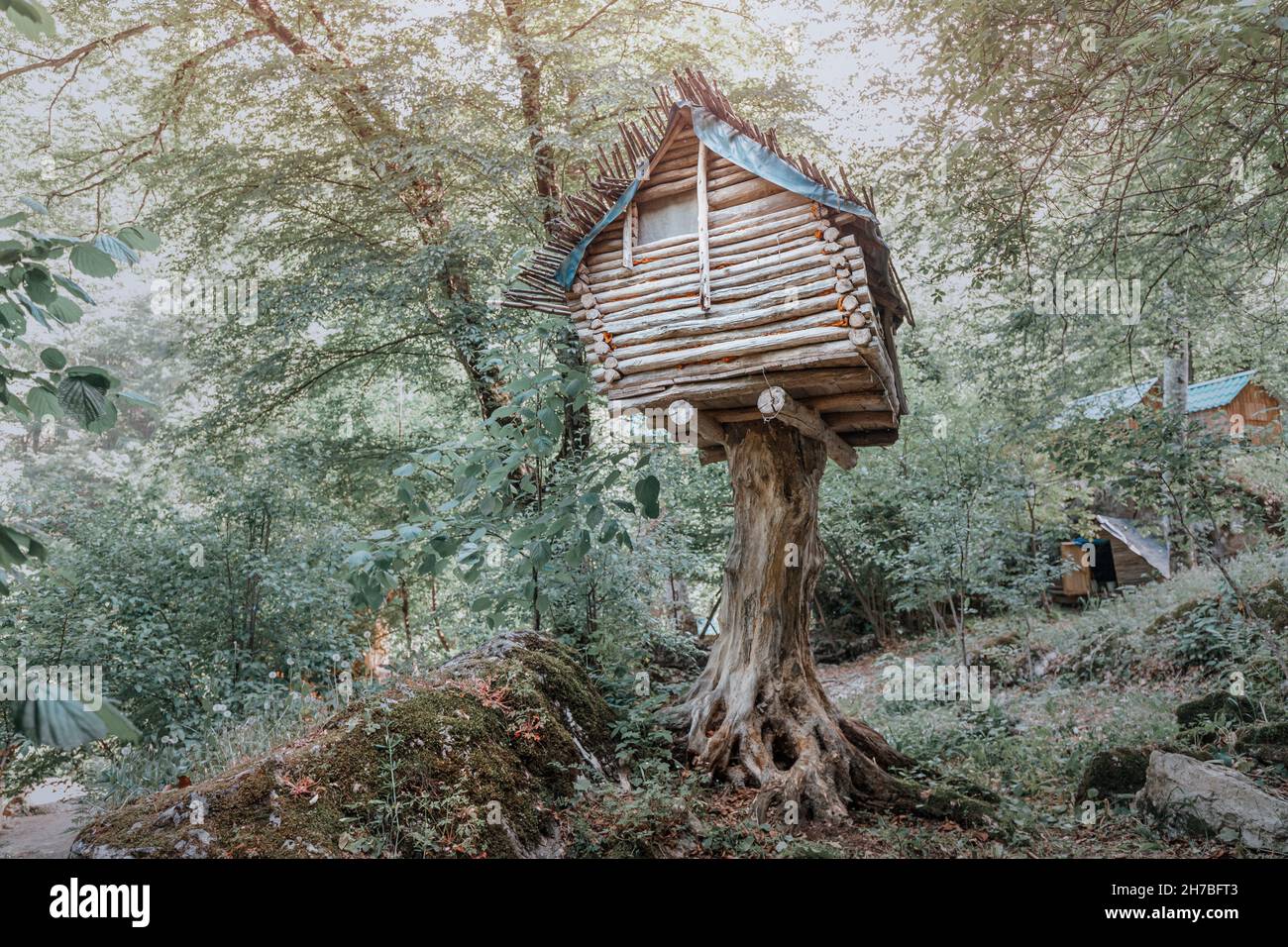 Mistica e fiabesca casa di alberi, che ricorda la spaventosa dimora di Baba Yaga sulle gambe di pollo nella foresta Foto Stock