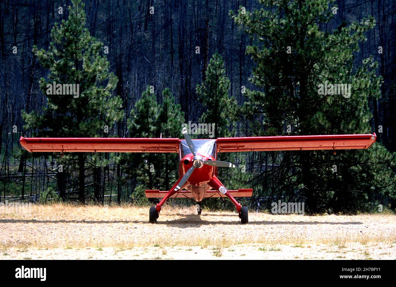 PZL-104 Wilga Aircraft parcheggiato in una pista di volo nell'Idaho centrale Foto Stock