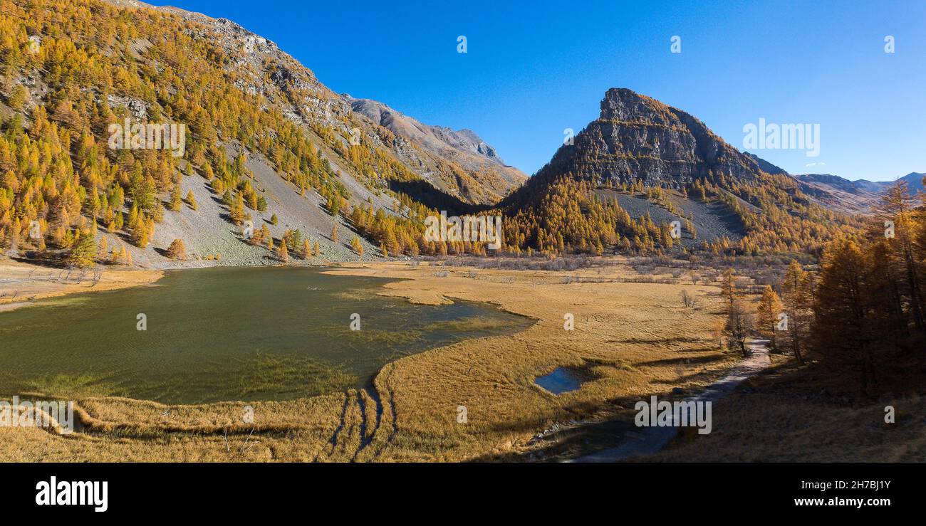 ALPES DE HAUTE-PROVENCE, 04, VALLE DI UBAYE, JAUZIERS, TOUR DEL LAGO DI SAGNES E LA FORESTA DI LARICE IN AUTUNNO Foto Stock