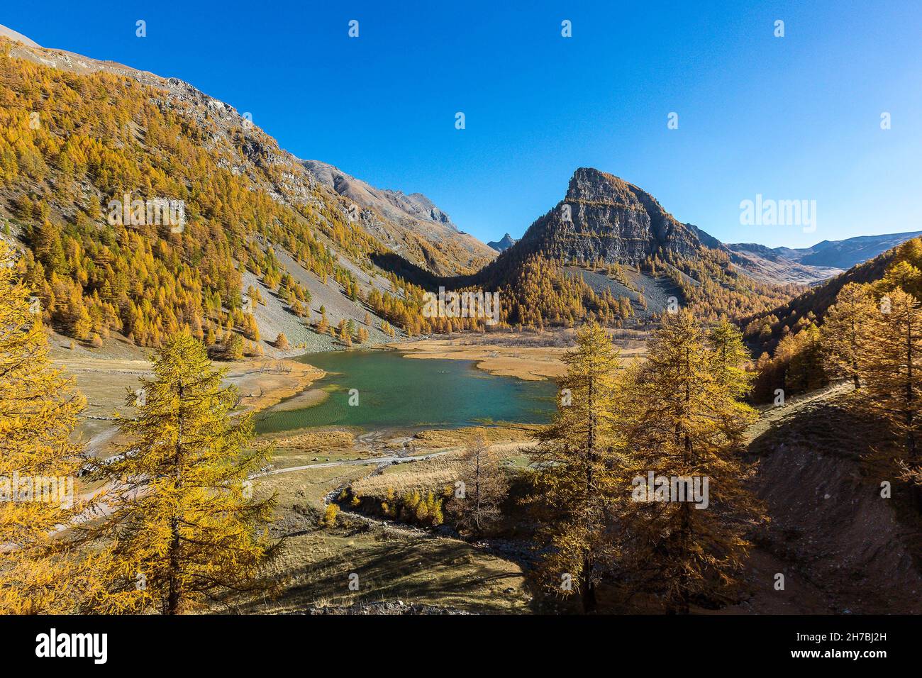 ALPES DE HAUTE-PROVENCE, 04, VALLE DI UBAYE, JAUZIERS, TOUR DEL LAGO DI SAGNES E LA FORESTA DI LARICE IN AUTUNNO Foto Stock