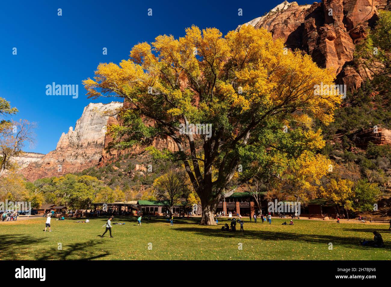 Persone che camminano e giocano sui terreni dello Zion Lodge in autunno, Zion National Park, Utah Foto Stock