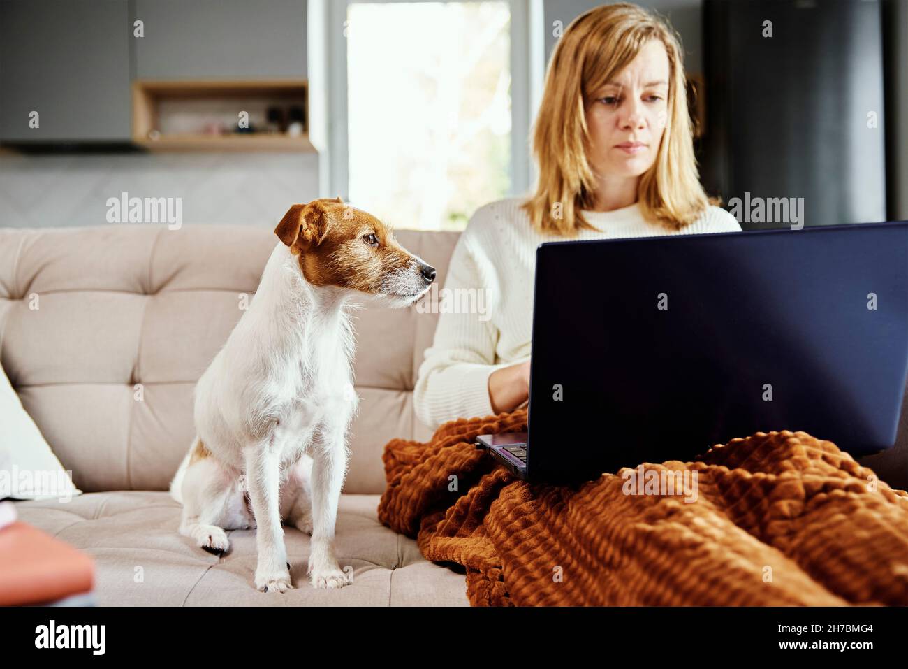 Donna sdraiata sul divano con il cane e usa il laptop per lavorare. Ambiente di lavoro domestico, lavoro remoto Foto Stock
