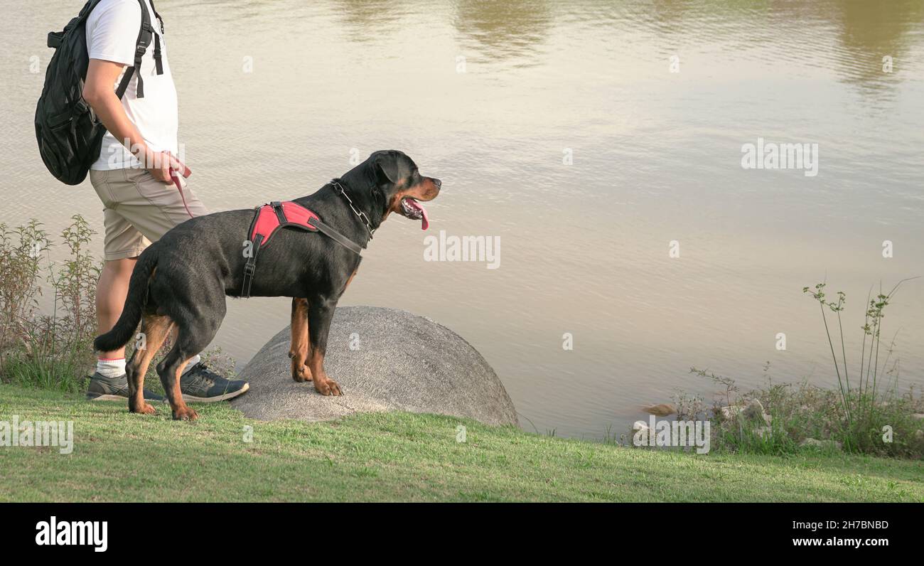L'uomo e il suo cane da compagnia vicino al lago. Spazio di copia. Foto Stock