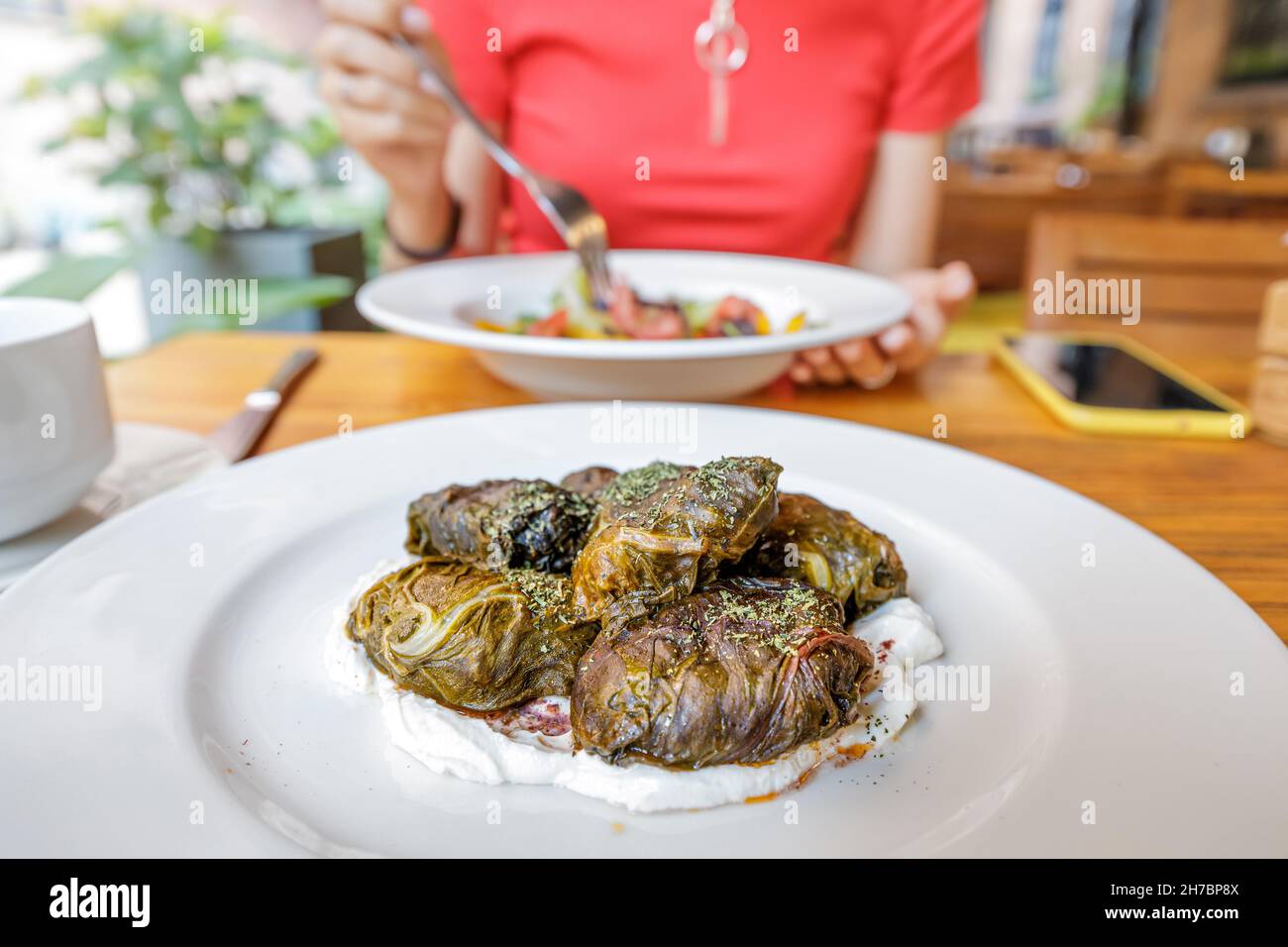 la dolma è una grande famiglia di piatti tradizionali di merendine di uva e barbabietole farcite con vari ripieni. È molto diffuso nel caucaso e in Turchia Foto Stock