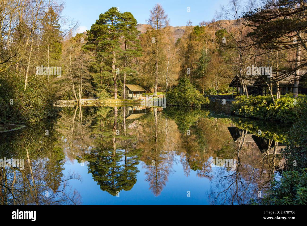 Boschi case vacanza e alberi perfettamente riflesso in acque di Hobson Tarn, Langdale Estate, Elterwater, Lake District, Cumbria, Inghilterra, Regno Unito Foto Stock