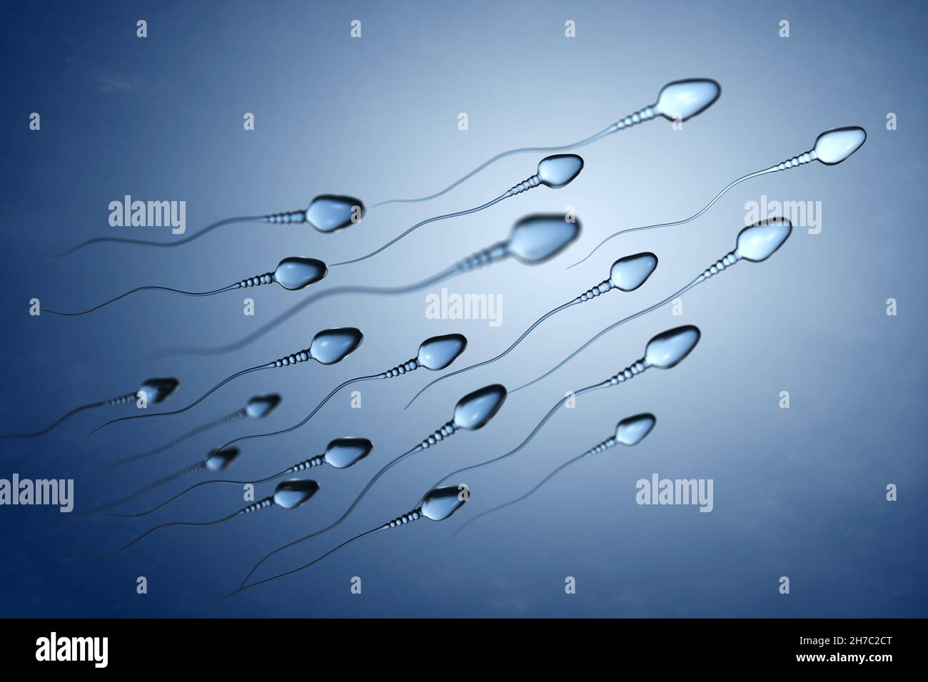 Illustrazione delle cellule spermatiche. Illustrazione 3D Foto Stock