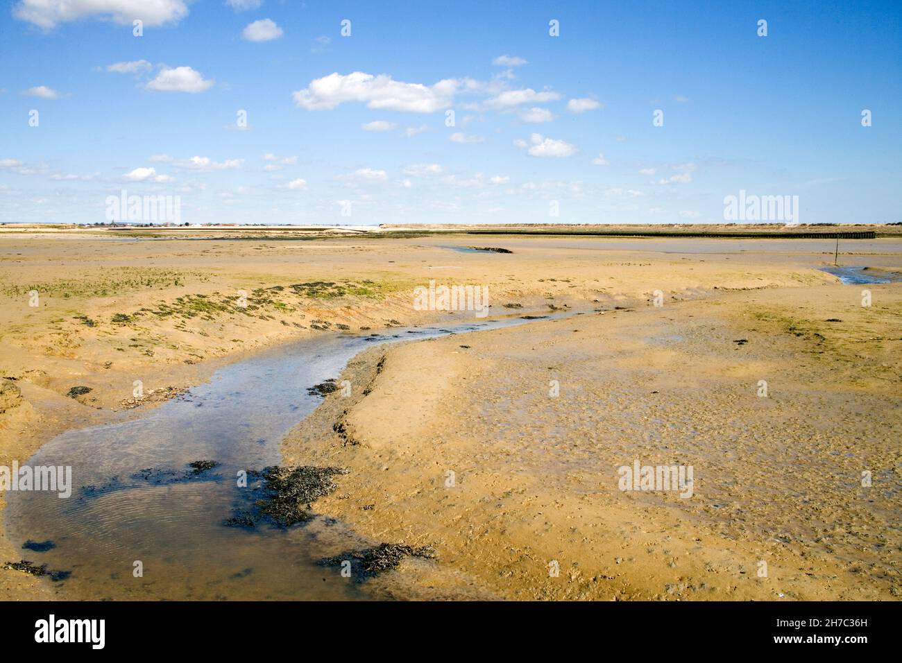 bassa marea al porto di pagham che mostra le distese di fango sulla costa occidentale del sussex Foto Stock