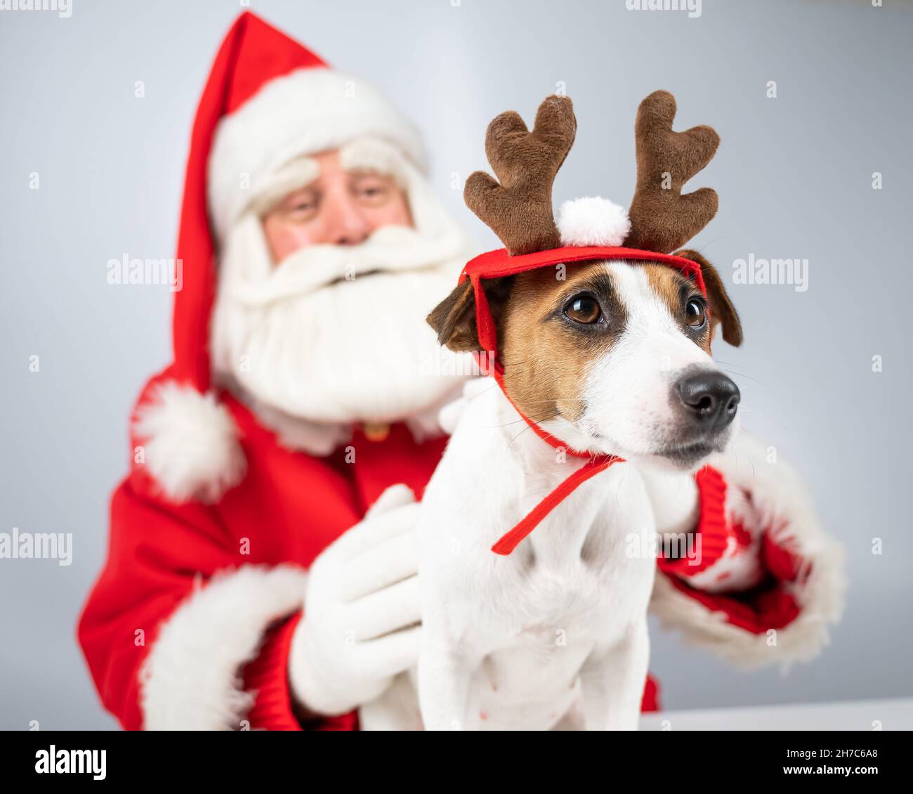 Serra testa di cane di Natale Renne, fascia di Natale per animale
