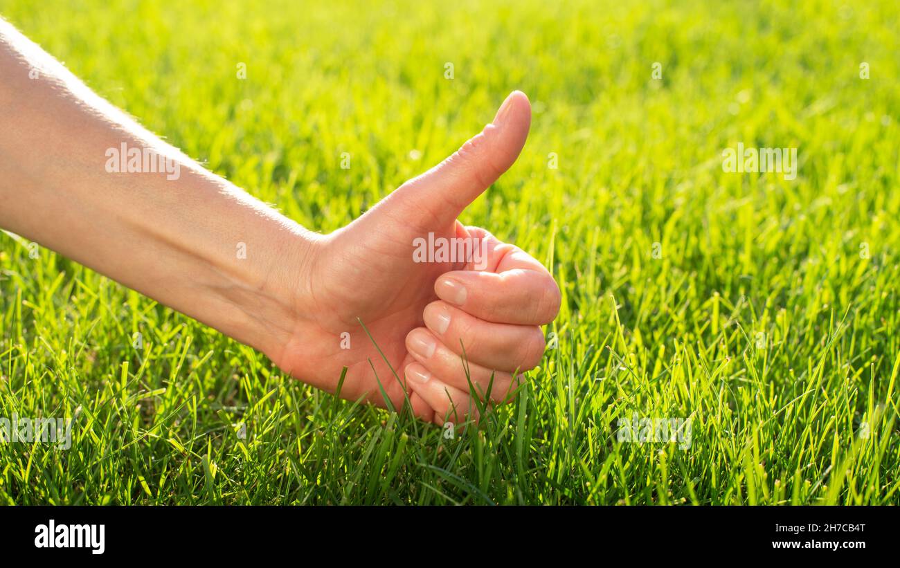 Movimento del pollice su sfondo prato erba. Foto Stock