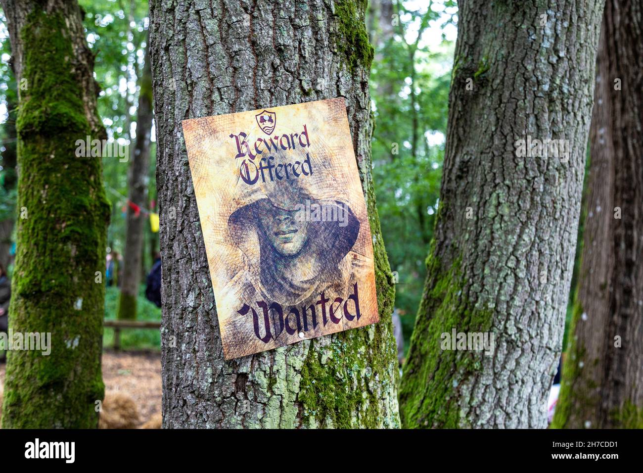 8 agosto 2021 - Wanted poster su un albero al festival medievale Loxwood Joust, West Sussex, Inghilterra, Regno Unito Foto Stock