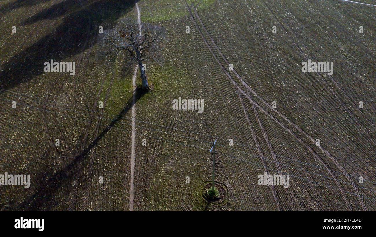 Vista aerea di parte di un campo in Coldblow Farm, Riuipple, Kent Foto Stock