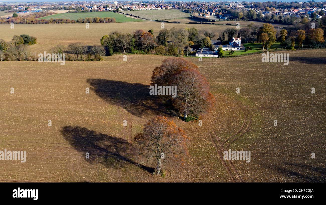 Vista aerea di un campo in Coldblow Farm, Ripple, Kent Foto Stock