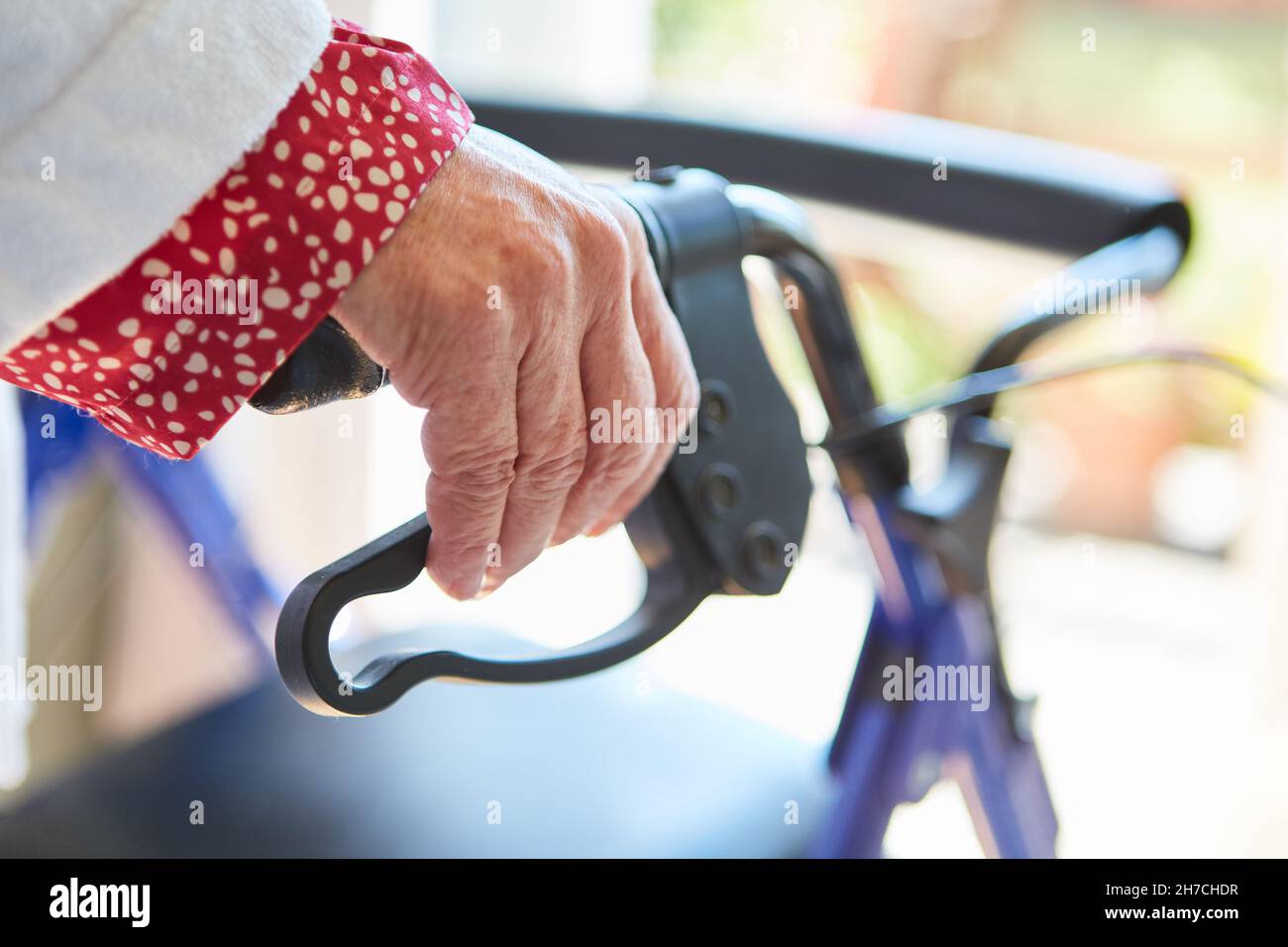 Donna anziana con le mani sul manico a rullo a casa come simbolo di disabilità e riabilitazione Foto Stock