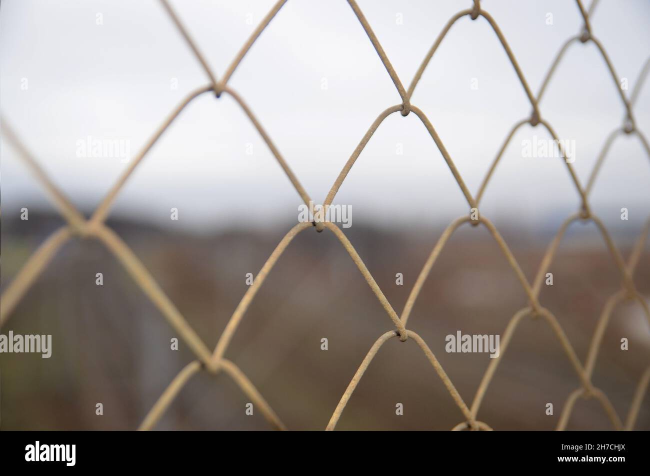 Maglia catena griglia recinzione vista ravvicinata, concetto di prigione Foto Stock