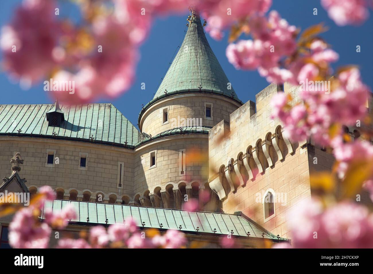 Castello di Bojnice vicino alla città di Prievidza con fioritura Sakura albero primavera vista, Slovacchia, Europa Foto Stock