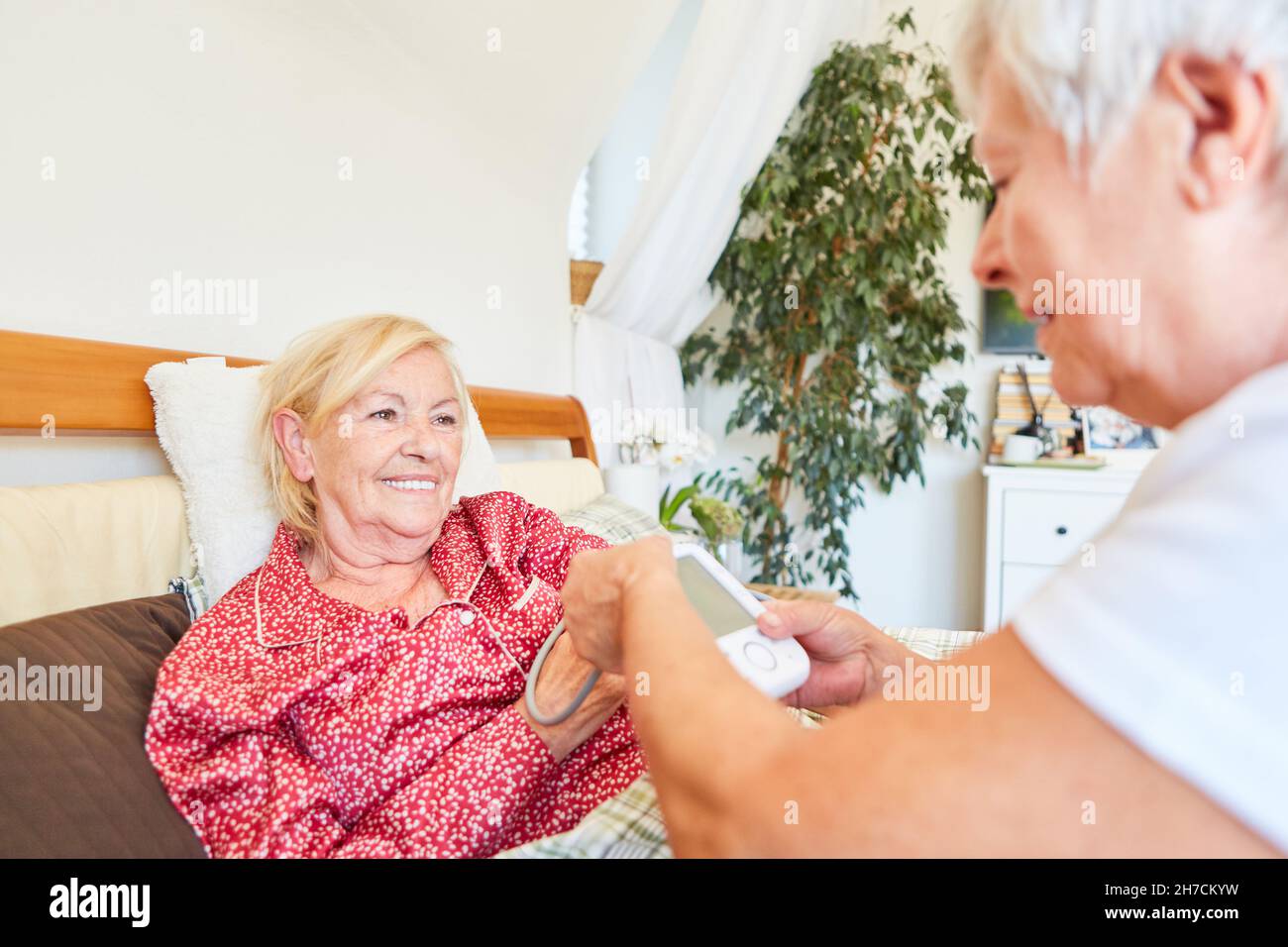 L'anziano operatore sanitario misura la pressione sanguigna della donna anziana a letto come controllo di routine per l'ipertensione Foto Stock
