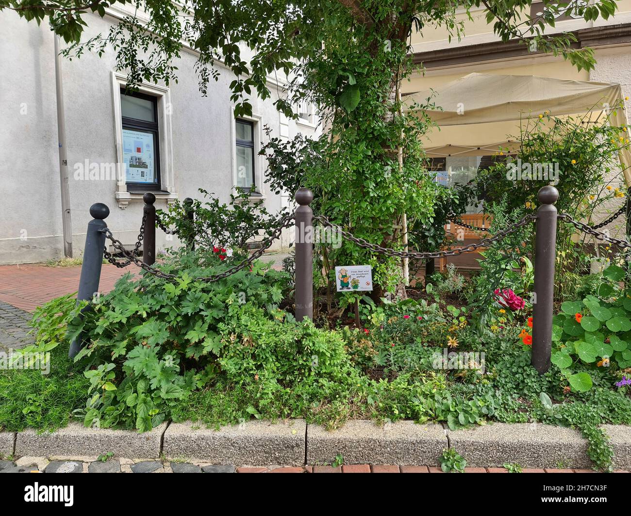 Residenti che fanno un letto di pietra intorno ad un albero in una strada, Urban Gardening, Germania, Renania settentrionale-Vestfalia, Ruhr Area, Witten Foto Stock