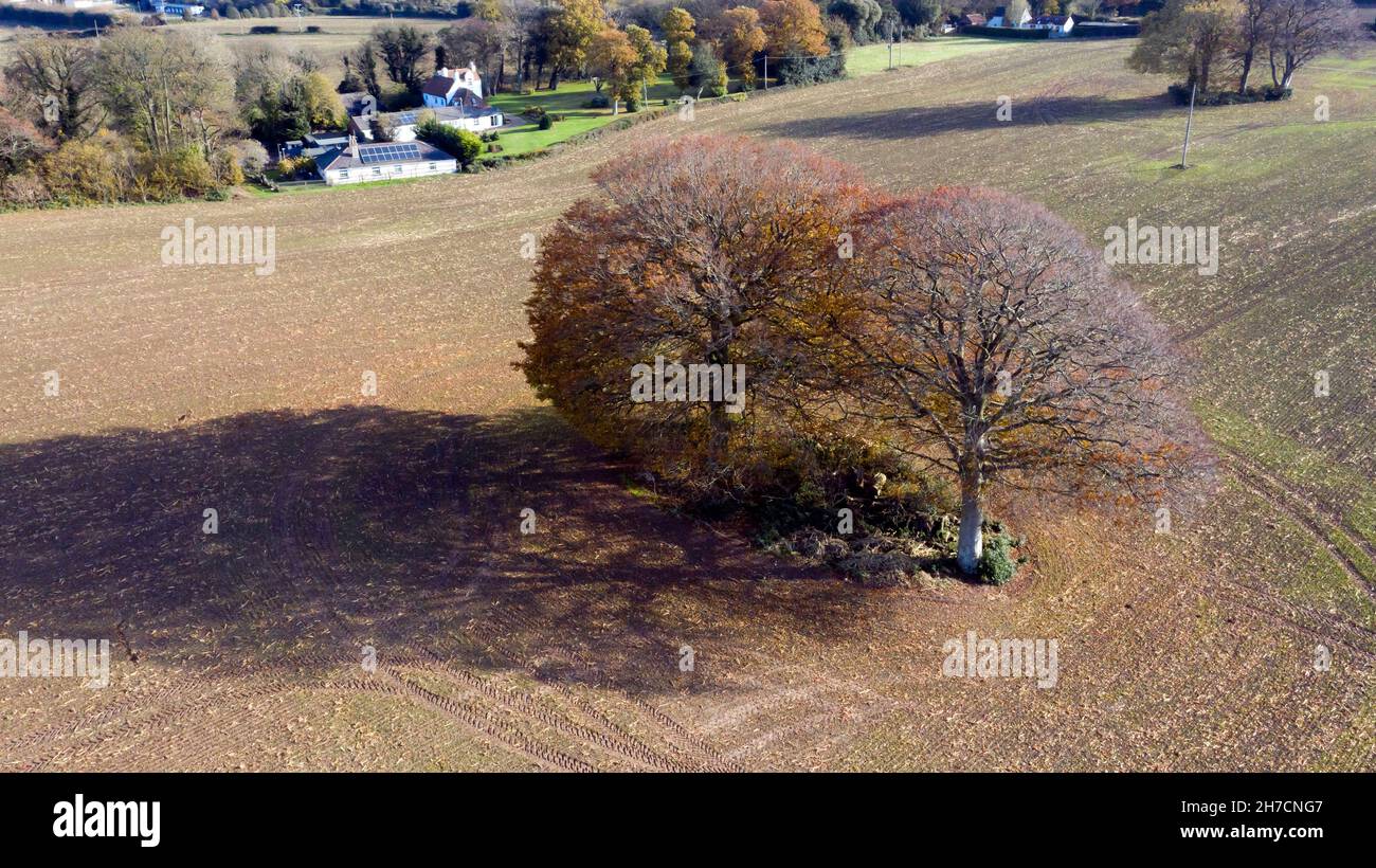 Vista aerea dell'Agriturismo Coldblow, dal campo opposto, Riple, Kent Foto Stock