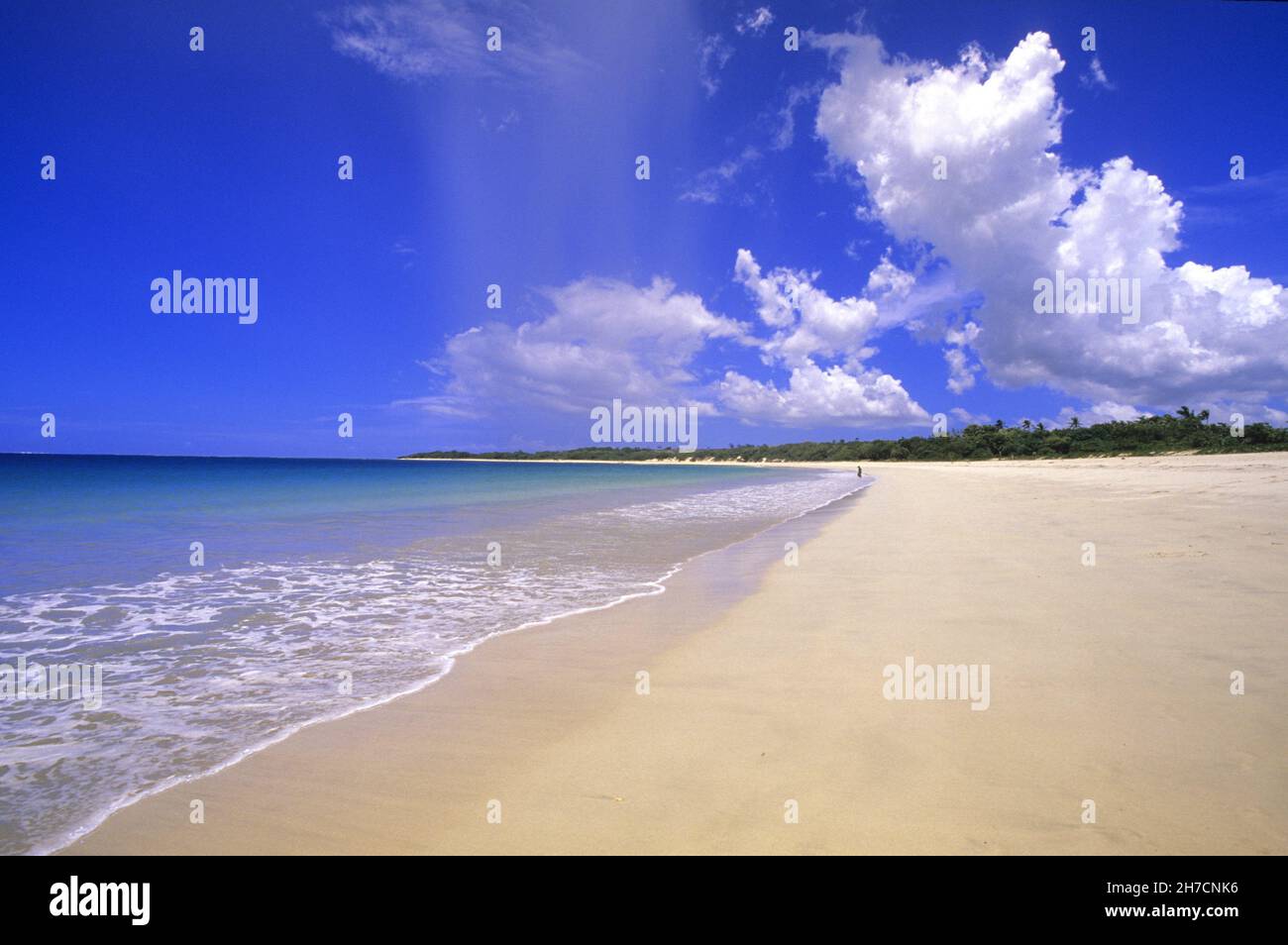 Spiaggia da sogno a Samoa Occidentale, Samoa Foto Stock