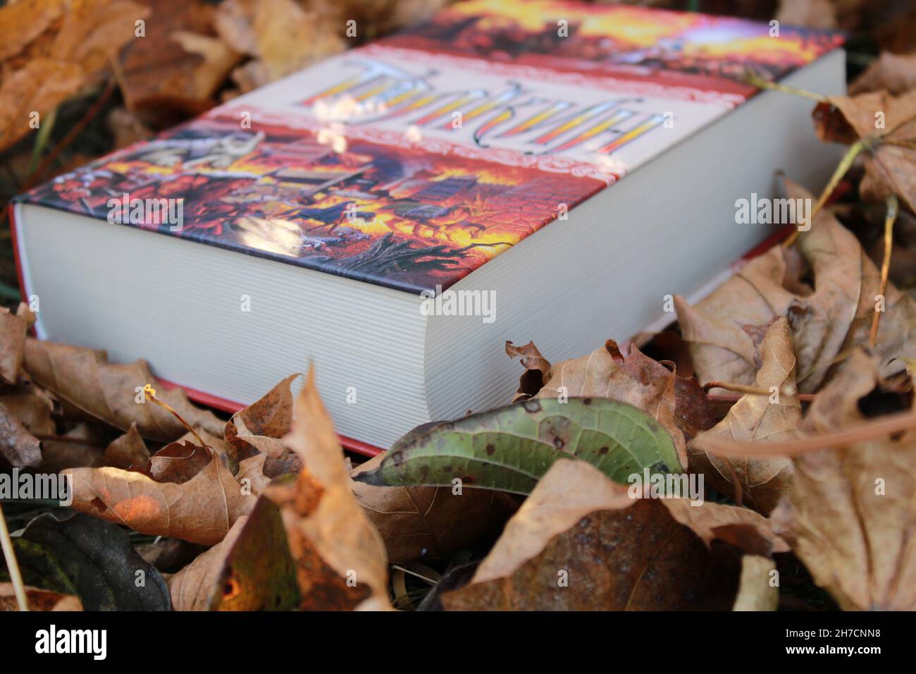 un libro chiuso sulle foglie che cadde in autunno, educazione in natura, libri da leggere Foto Stock