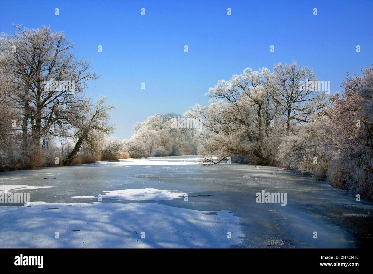 Paesaggio invernale nelle pianure di Amper vicino a Moosburg, Germania, Baviera Foto Stock