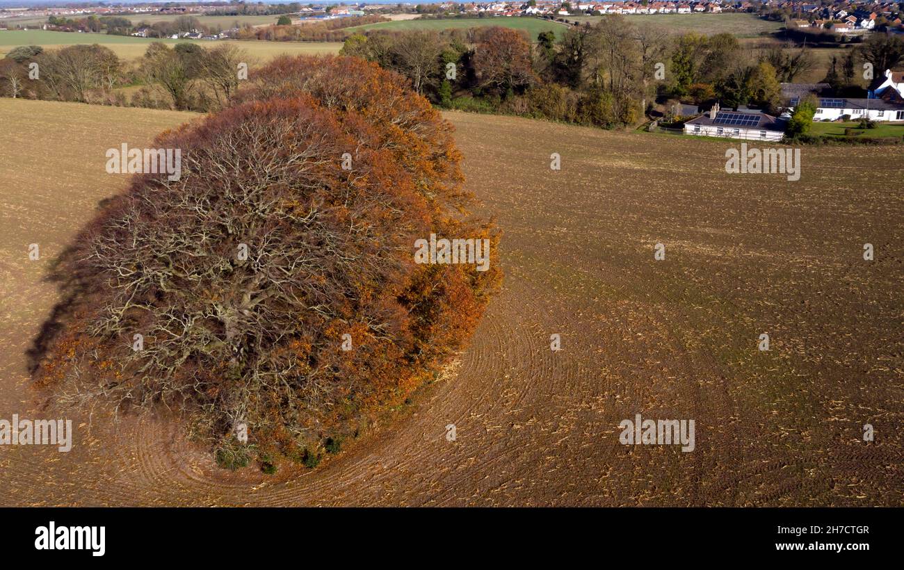 Vista aerea dell'Agriturismo Coldblow, dal campo opposto, Riple, Kent Foto Stock