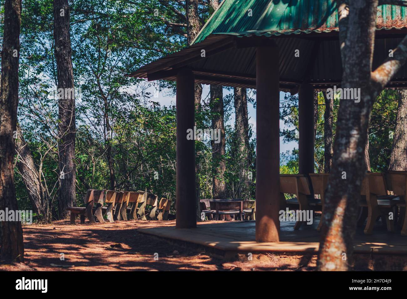 Natura conifere mix deciduo foresta parco aperto vista sfondo. Tetto verde gazebo gazebo, panchine in pietra. Protezione contro la pioggia. Estate sole giorno alberi Foto Stock