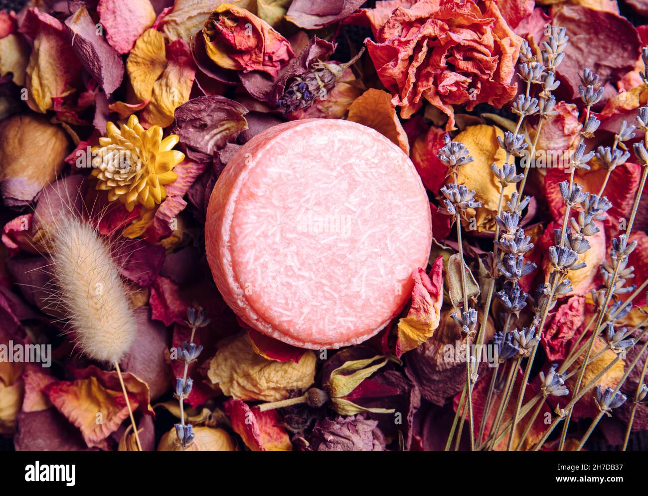 Shampoo solido di colore rosa, balsamo su vari petali di fiori secchi, rosa, lavanda. Romantica bellezza d'epoca al coperto. Foto Stock