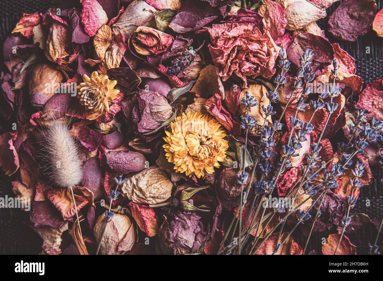 Diversi rosa secco, viola, fiori gialli petali e fiori sparsi. Sfondo floreale artistico vintage. Stile immagine opaca. Foto Stock