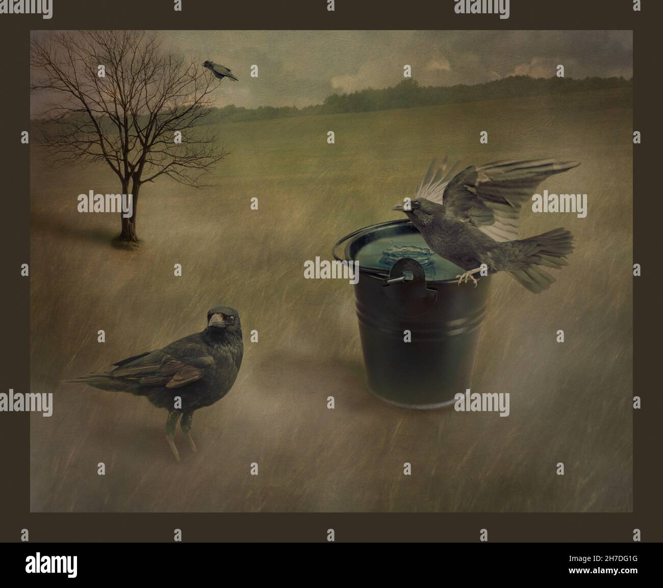 tre corvi in campagna, uno seduto su un secchio d'acqua, uno seduto in un albero senza foglie uno si è fermato a terra. foto composito. Foto Stock