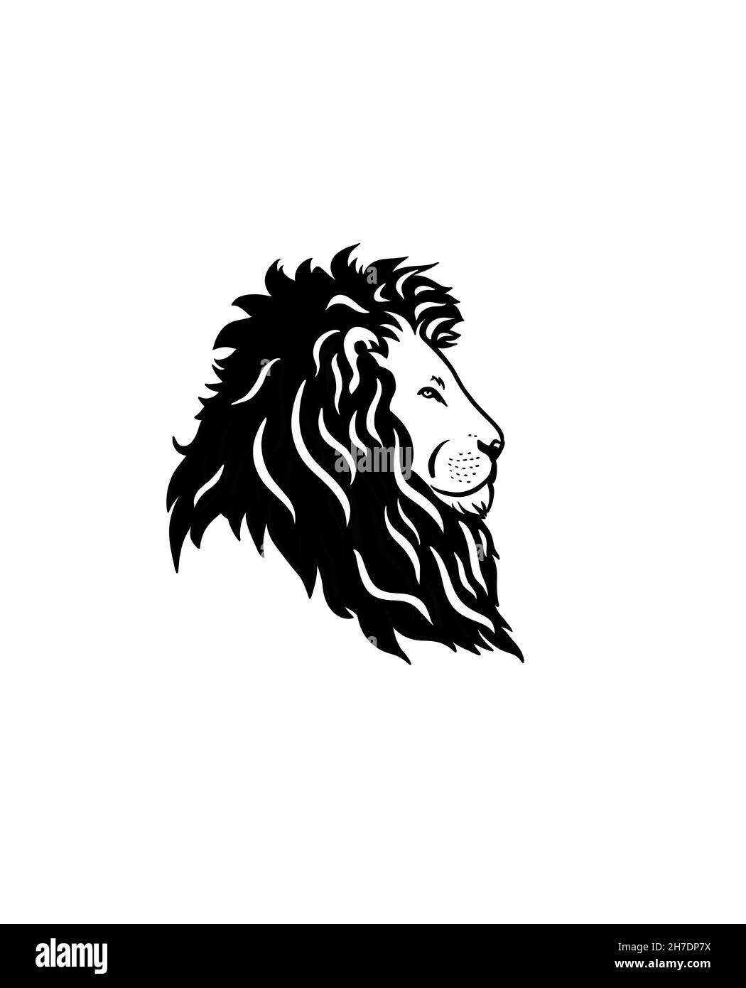 Il volto di un Leone in profilo. Foto Stock