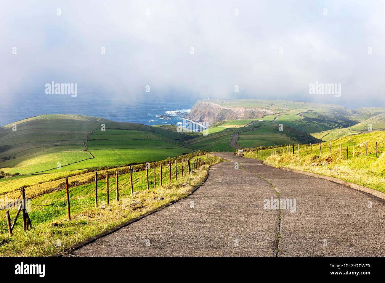 Campi verdi e la strada per Ponta do Albarnaz faro, vicino Ponta Delgada in Flores isola. Portogallo, Azzorre Foto Stock