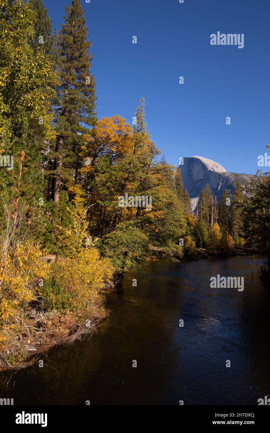 La mezza cupola di Yosemite NP e il fiume Merced e la vegetazione ripariale bagnata dai colori autunnali, Sierra Nevada, CA, USA. Foto Stock