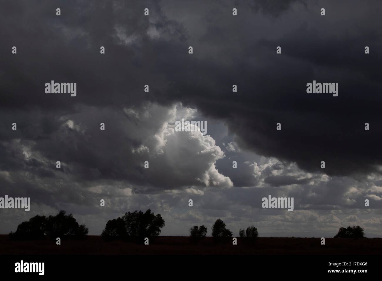 Le nuvole autunnali formano uno sfondo contrastante sulla valle settentrionale di San Joaquin in California. Foto Stock