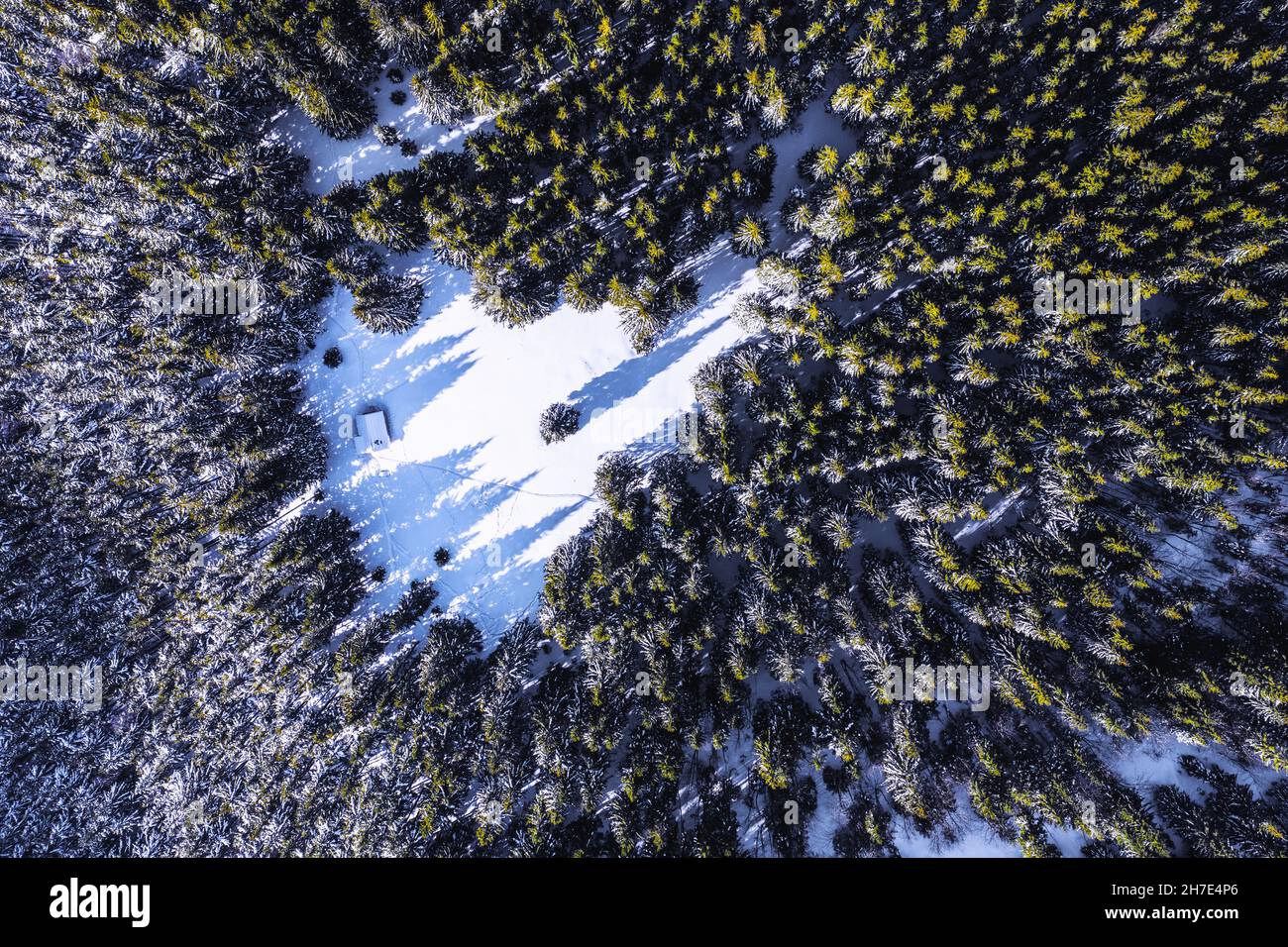 Foto da un drone. Veduta aerea della foresta bianca invernale coperta di neve. Capanna di legno sul prato. Paesaggio al mattino freddo. Alberi nelle nevicate Foto Stock