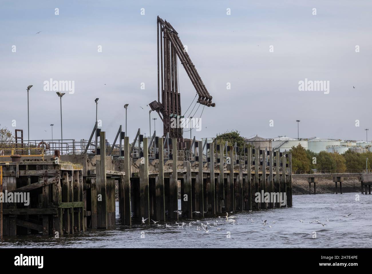 Port of Tyne la sede della Dogger Bank Wind Farm Development, joint venture 50:50 tra Equinor e SSE Renewables, Newcastle, Inghilterra, Regno Unito Foto Stock