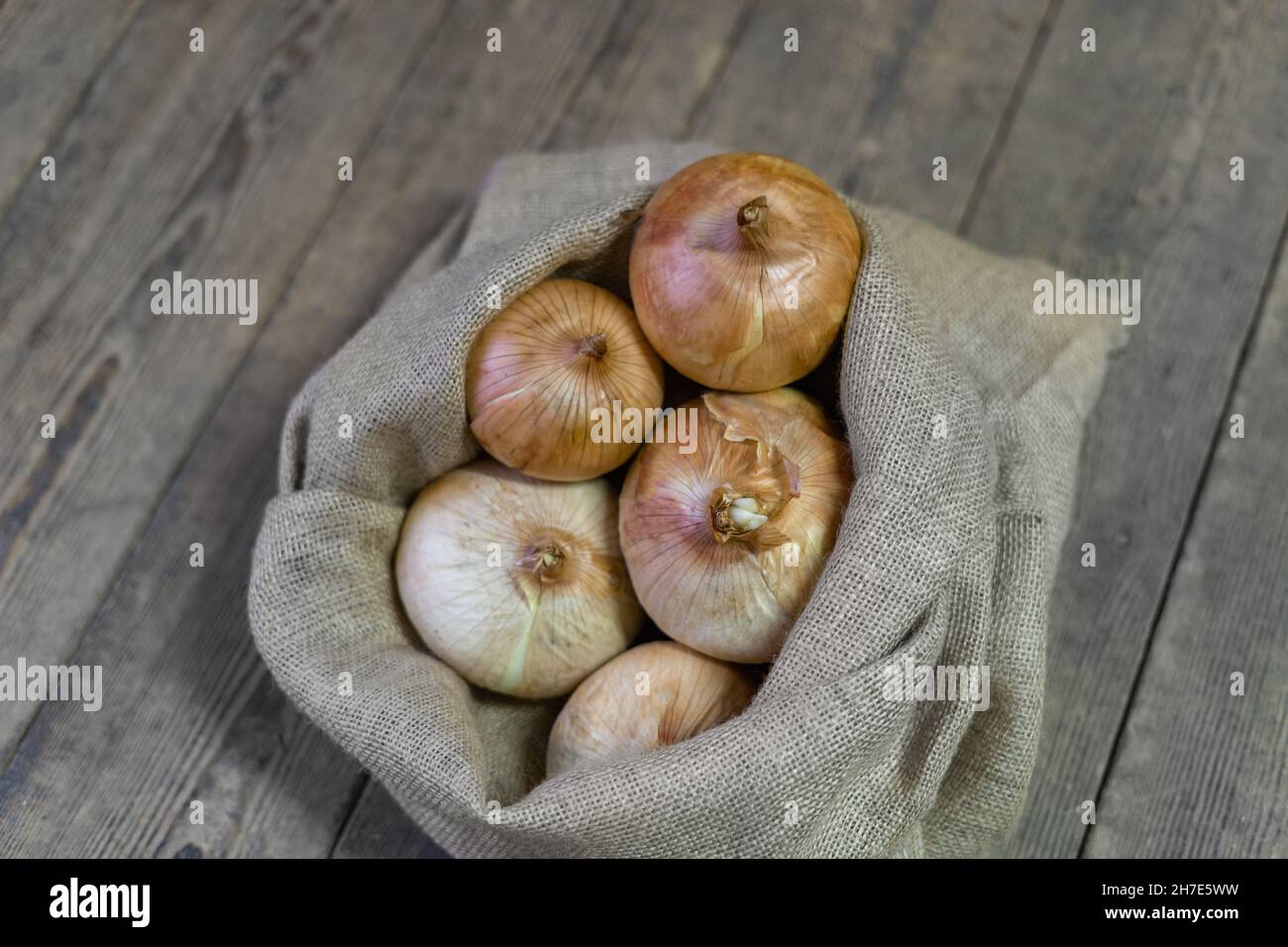 Cipolle in sacchetto di iuta su background.Onion di legno raccolto, cibo sano, sfondo di verdure Foto Stock