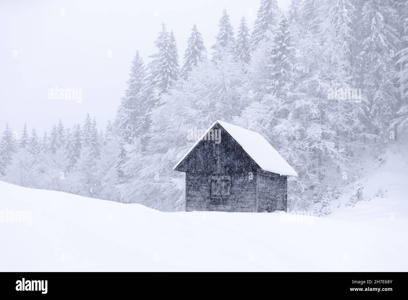 Vecchia casa di legno del forester sul prato coperto di neve. Paesaggio nei giorni invernali. Nevicate. Paese delle meraviglie di Natale. Alta montagna. Carta da parati innevata b Foto Stock