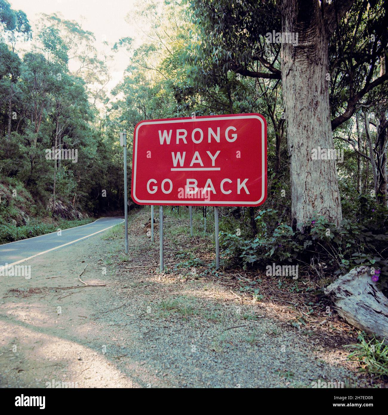 Segnaletica per Springbrook National Park, New South Wales, Australia Foto Stock